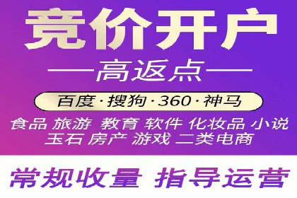 探索百度竞价推广托管的最佳实践与案例分析